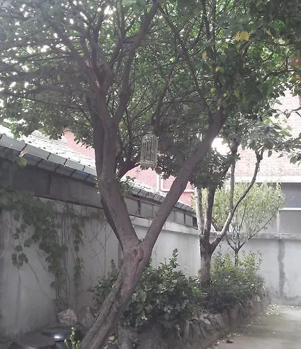 Bukhansan Yellow Hostal